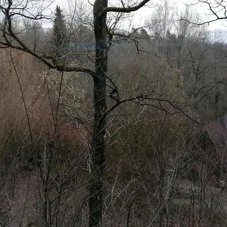 Alpehytte Chalet *